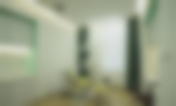 擅长项目详解