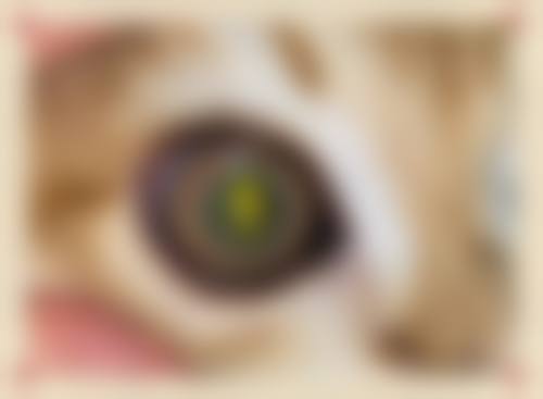 临床实例分享