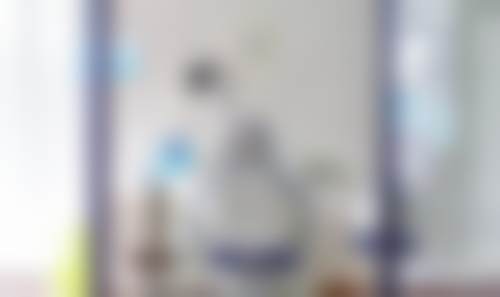 擅长项目详解