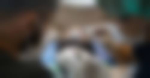 总结与预约建议