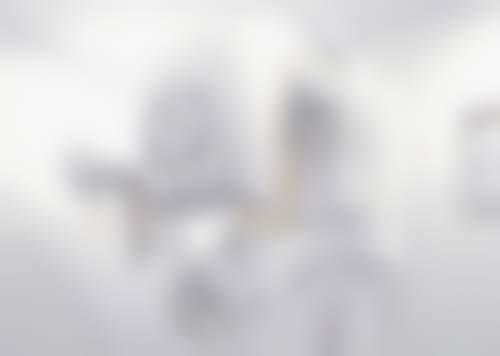 诊疗特色总结:技术与服务的双重保护
