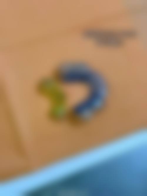 总结与预约指引