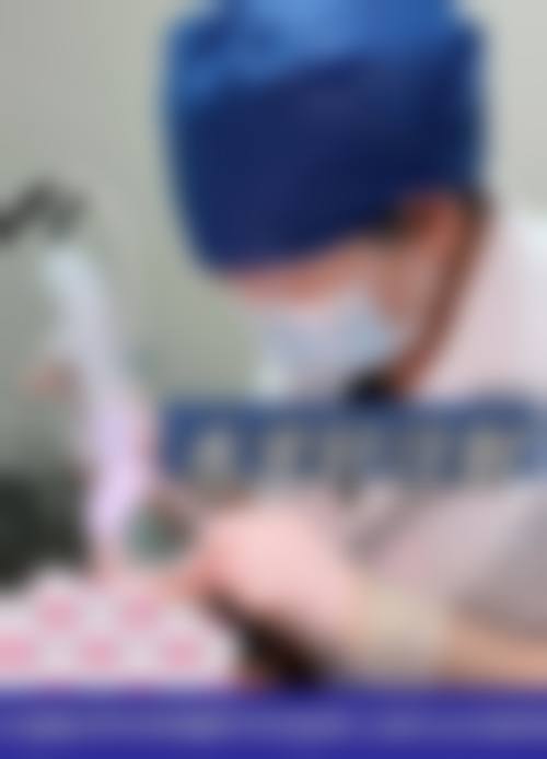 擅长项目详解