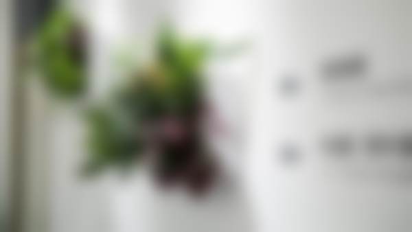 擅长项目详解:曹美玲医生核心诊疗方向