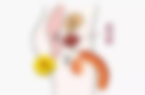 核心项目优势与个性化方案定制