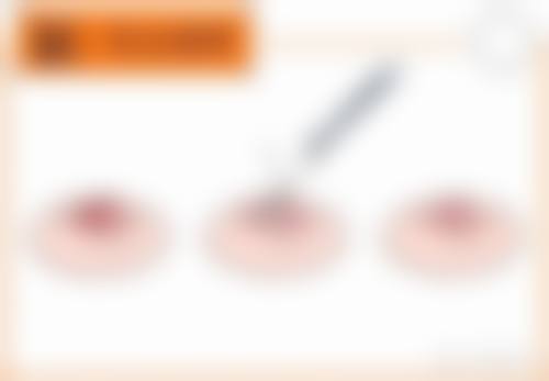 常见问题解答（FAQ）