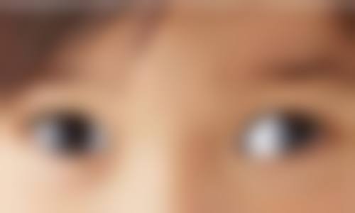服务项目与价格参考指南