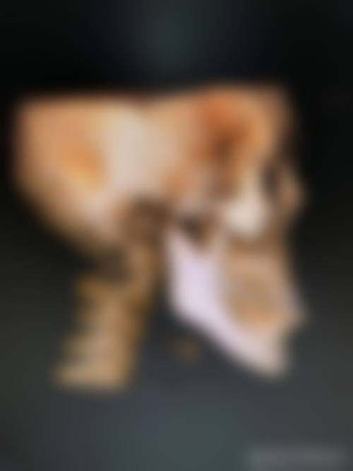 诊疗特色总结