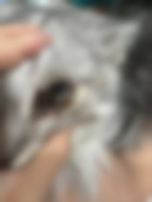 服务流程与优惠活动