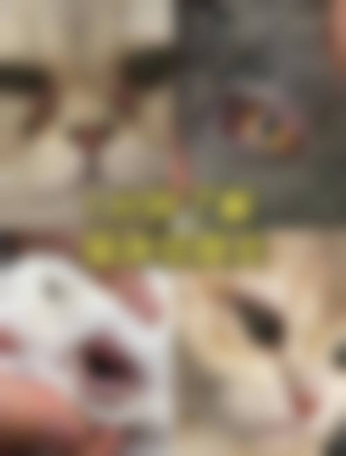 结尾预约号召:抓住机会,重获清晰视界