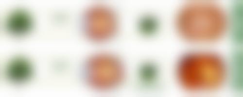 临床实例分享:真实患者的治疗成效反馈
