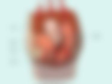 预约优惠活动