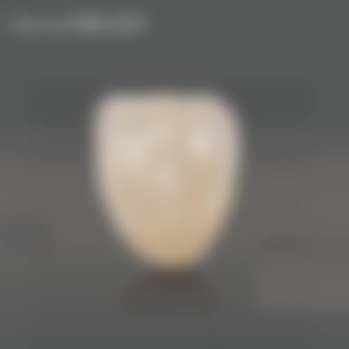 总结与预约指引