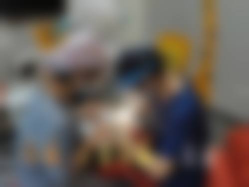资质合规与品牌实力解析