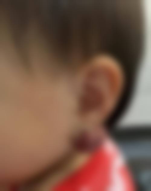 总结与预约指引